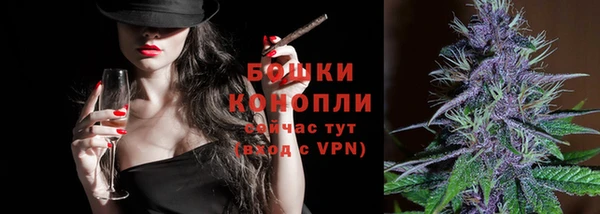 гидра Новодвинск