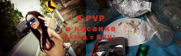 гидра Новодвинск