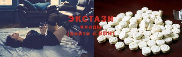 гидра Новодвинск