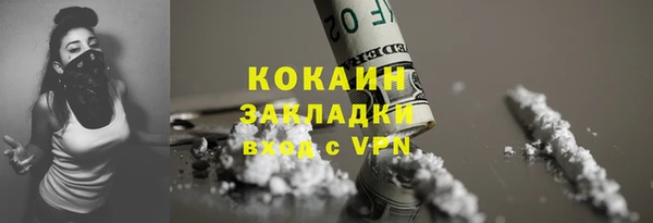 гидра Новодвинск