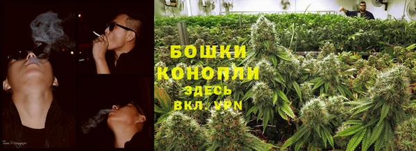 не бодяженный Няндома