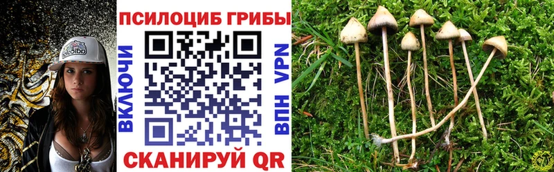 Галлюциногенные грибы Cubensis  Озёрск 