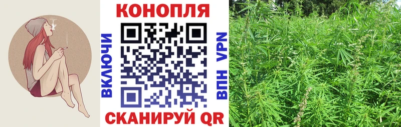Каннабис конопля Озёрск